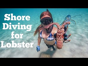 Shore Diving for Lobster, South FL
