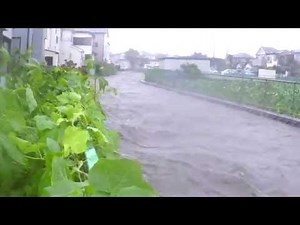 台風９号 所沢・東川氾濫 2016/8/22