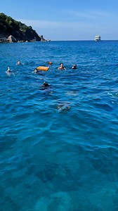 286K views · 2.7K reactions | Similan Islands 便Guide Nook’s video features this stunning sea turtle gracefully swimming right next to our boat and staff! ✨ | 5 Star Marine | Facebook