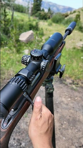 The Ultimate Mountain Hunting Rifle?