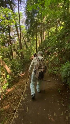 Hiking | Mt. Takao