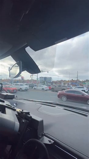 17K views · 660 reactions | Ms. Frizzle said “take chances, make mistakes” - not “ignore stop signs and flashing red lights”.  #StopForTheSchoolBus #SchoolBusSafetyWeek | Greater Sudbury Police Service | Facebook