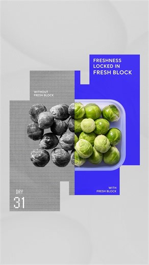 Freshness you can see, taste, and trust LocknLock’s Fresh Block keeps your fruits and vegetables fresh, vibrant, and full of flavor—just as nature intended from day one—up to 31 days. Designed with precision for every kitchen, it’s more than storage—it’s smart living L for Long Freshness Lock in freshness, unlock better living. #LocknLock #Lockinyourmoment #FreshBlock #Foodcontainer #FoodStorage | LocknLock USA