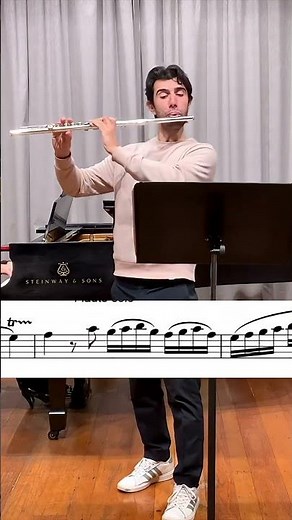 MOZART, Flute Concerto in G major - 1st Movement (Part 4) #flute #mozart #classical #concerto