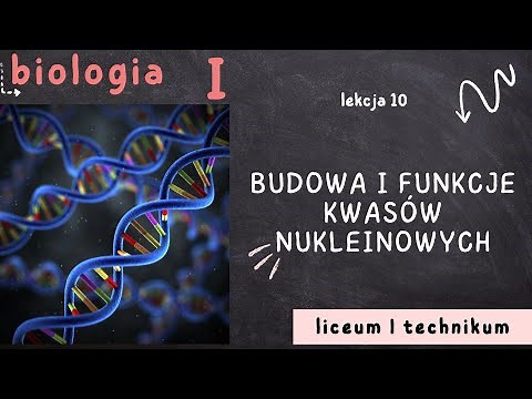 Biology 1 LO [Lesson 10 - Structure and functions of nucleic acids]