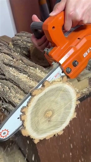 Tree wood cutting in chain saw cutter