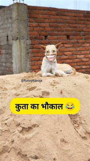 कुता का भौकाल #funny #thetharpuns #shilpisaroja #comedy