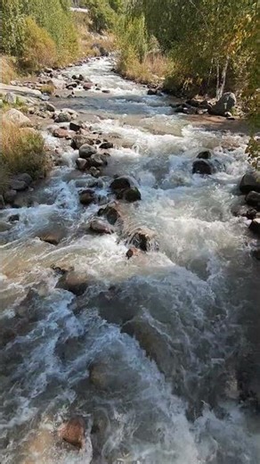 Relaxing river 🏞️ #nature #relax #river #water