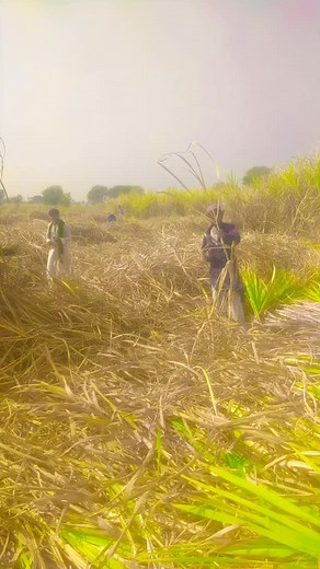 Autam Kuamr (@autam.kuamr)’s videos with original sound - viCky panHwar ✅