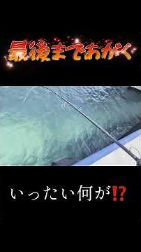 [Blur] This fishing method is absolutely foolproof.