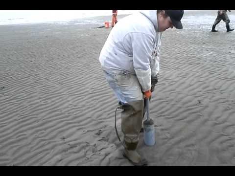 How to use a clam gun