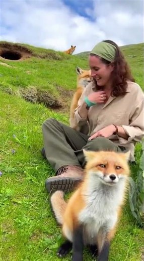 Springtime Fun with Fox Kits in the Meadow