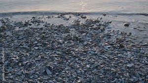 Oyster Beds in the inlet waters at Topsail Island, a vacation destination in North Carolina