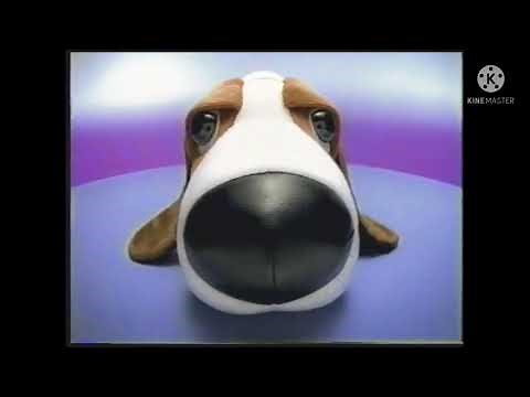 ? dog turns around meme 4k HD