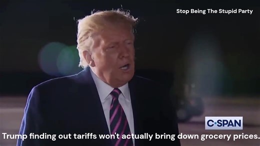 Stop Being The Stupid Party on Reels