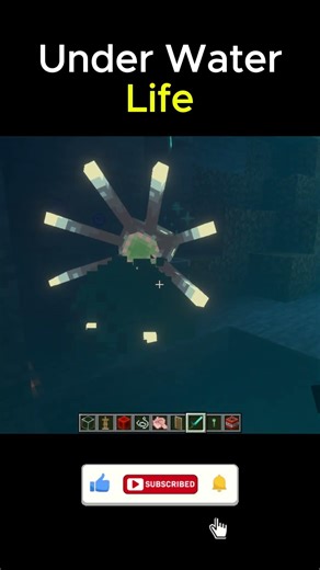 Under Water Life 🌊🐠 | Minecraft Me Alag Hi World 😮 #minecraft #shorts #skillshiftgaming