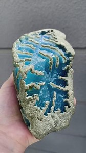 7264848462368296248