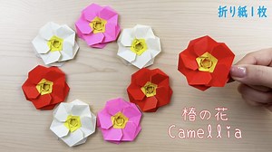 【折り紙】１枚で素敵な椿の花✨How to make Camellia flower#花#椿#つばき#はな#flower#花#동백꽃#山茶花#簡単#折り方#おりがみ#easy#origami#紙#종이 – Origami hana’s channel