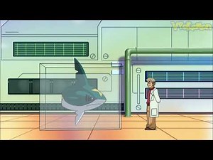 Sharpedo attacks Professor Oak | Pokemon quiz