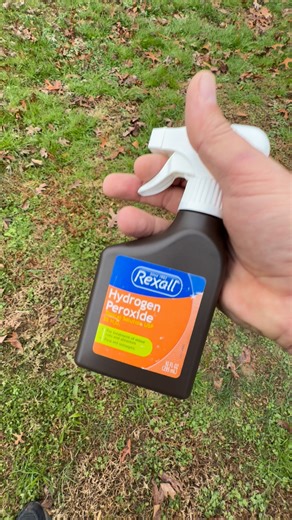Griffith Ceith James on Instagram: "Hack DIY to get rid of flea and tick eggs around your home!"