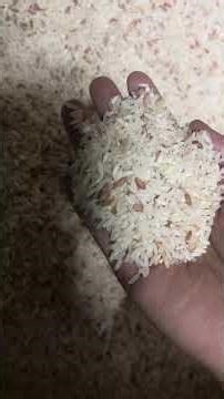 Raw rice eating | local red rice| Arham | ration| yummy crunchy