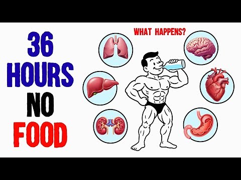 What Happens to Your Organs After 36 Hours of Fasting? (Fasting Benefits)