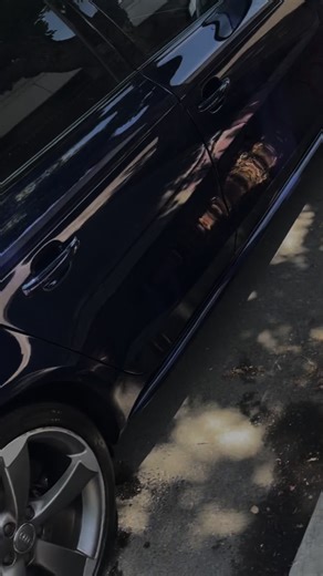 Polishing and wax job by OTW mobile detailing