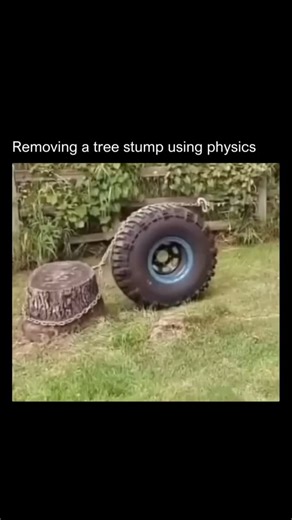 @mrfact on Instagram: "A brilliant application of physics to tackle the difficult task of removing a tree stump. By looping a chain around a large tire and the stump, a simple machine is created to make the job easier. This setup is a perfect example of how basic engineering principles can be used to solve everyday problems. It’s a clever hack that multiplies force through simple leverage. The science behind this method involves using the tire as a dynamic fulcrum. As a vehicle pulls the chain,