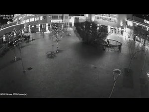 So, what caused the Grove Plaza Christmas tree to fall over?