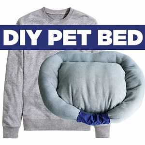 Turn a sweatshirt into a cozy pet bed for your dog or cat! FULL INSTRUCTIONS: http://bit.ly/PerkBlog_DIYPetBed | Perk