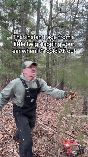 When Nature Strikes: The Cold Twig Incident