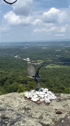 See Rock City! It’s a must see attraction worth the drive! Go Dawgs!
