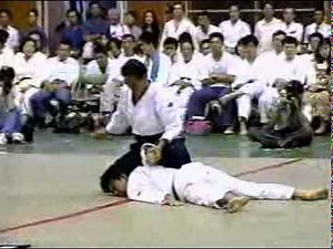 Excellent Aikido Demonstration (1)