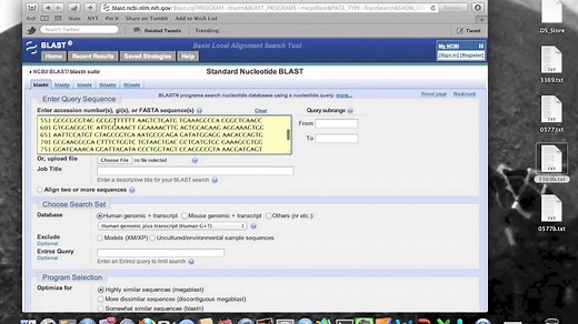 BLAST and Phylogenetic Tree