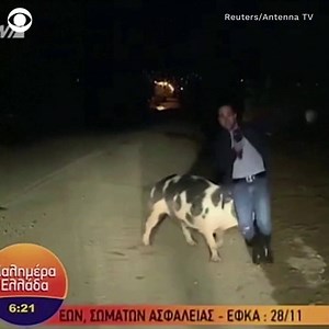 HOG WILD: This journalist in Greece was trying to do a live broadcast — when a huge spotted pig came into the shot and started chasing him around. 🐷 | CBS News