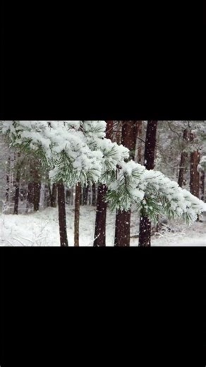 Relax & sleep 🌙 | Full 10-hour video on my channel 🎧🔔 Subscribe #Shorts | DarkScreen Studio