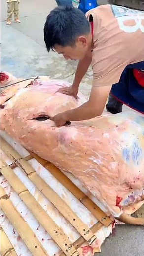 Breaking down a whole beef carcass! Get perfect cuts every time. #beef #butchery #meat