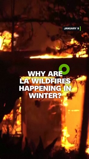 Los Angeles County is experiencing changes in fire behavior first-hand as wild, uncontrollable flames engulf California during what has historically been a wet winter season. CNN climate reporter Laura Paddison explains. https://cnn.it/407UIGV | CNN