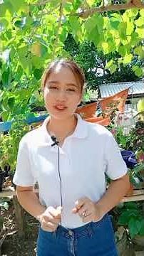 Tour Guiding (Self-Introduction, Brief Description of the Place, and Reminders)