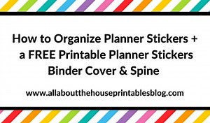 Planner Organization: How to organize planner stickers