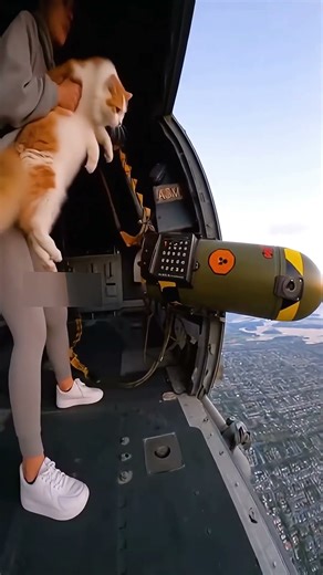 Cat Almost Detonates a Nuclear Bomb! 😱💣🐱🚁 | Owner Stops the Disaster Just in Time!