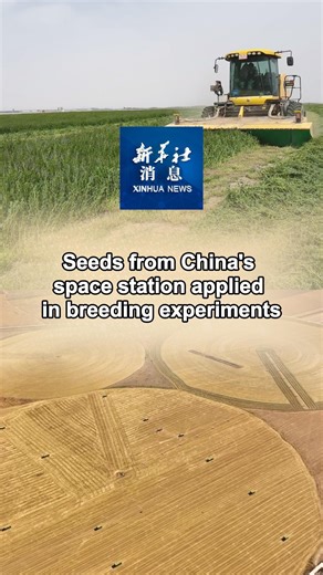 14K views · 298 reactions | With the return on Tuesday of the Shenzhou-17 manned spacecraft, a new batch of scientific experimental samples from China's space station have arrived on Earth, including seeds for breeding experiments. #XinhuaNews | China Xinhua News | Facebook