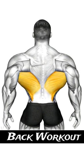 How to Build Wider Back (Lats) - Back Exercises Routine #Backworkout #Backday | Trending Gym