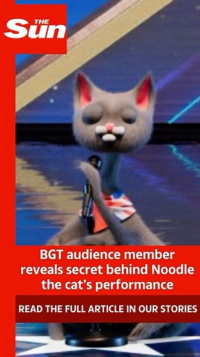 BGT fans were left stunned by the performance. Read more in our stories. #BGT #ITV #britainsgottalent | The Sun