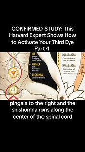 1.5K views · 16 reactions | Third Eye Activation !!! #emotions #love #feelings #life #quotes #art #poetry #mentalhealth #photography #thoughts #instagram #instagood #motivation #lovequotes #sad #music #writersofinstagram #selflove #happiness #nature #selfcare #happy #follow #heart #loveyourself #emotional #inspiration #like #anxiety #healing | Nirvana Healing Centre | Facebook