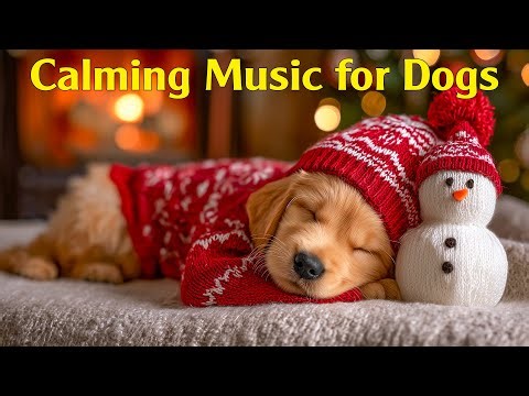 12 HOURS Calming Dog Music 🎅 Soothing Melodies for Anxious Dogs ☃️ Anti-anxiety & Boredom Prevent