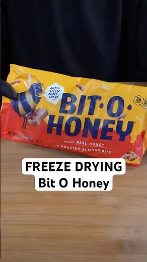 Someone Asked Me To Freeze Dry Bit-O-Honey