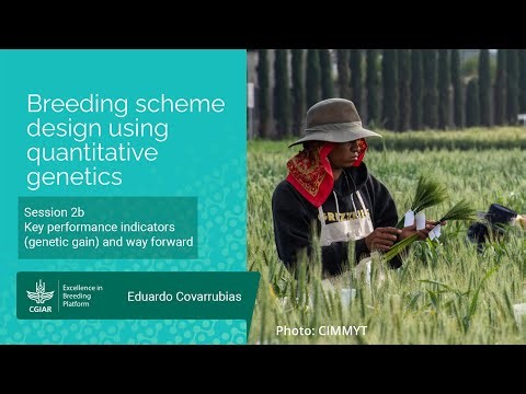 Session 2b Key performance indicators (genetic gain) and way forward