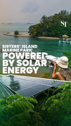 🪸 The revamped Sisters’ Islands Marine Park is now open to the public. Here's all you need to know about the new features at the park. https://str.sg/qptc | The Straits Times