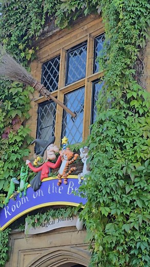 Room on the broom riddled with damp #damp #roomonthebroom #ivy #pointing | Hill Surveyors